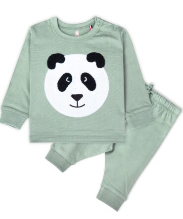 Real Basics Cotton Fleece Printed Clothing Sets For Boys & Girls - Unisex Winter Clothing Sets Full Sleeve T-Shirt & Pant, Green, 12 Months-18 Months